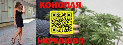 стафф Ставрополь